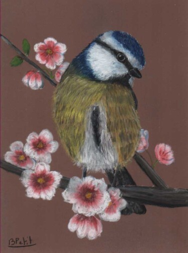 Peinture intitulée "mesange-2." par Benjamin Petit, Œuvre d'art originale, Pastel