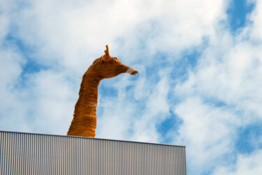 LA GIRAFE