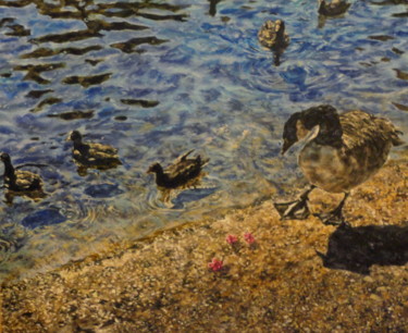 Ducks