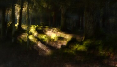 摄影 标题为“The Forest.....” 由Philippe Berthier, 原创艺术品, 数码摄影