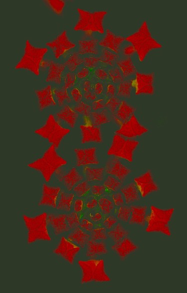 Composition