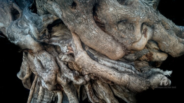 Photographie intitulée "Noueux et tortueux" par Kam Bendi, Œuvre d'art originale