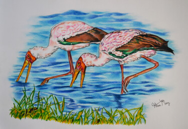 yellow-billed storks Drawing titled "yellow-billed storks" by Hiten Mistry, Original Artwork, Pencil