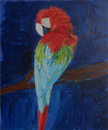 perroquet sur fond bleu 55x46