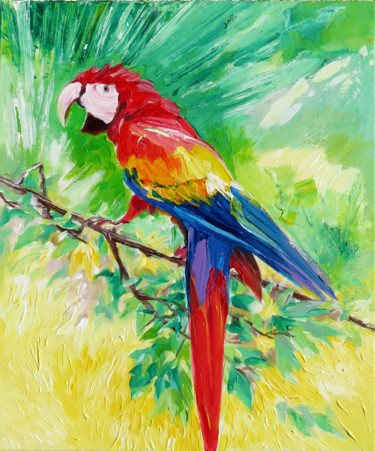 Ara 46x38