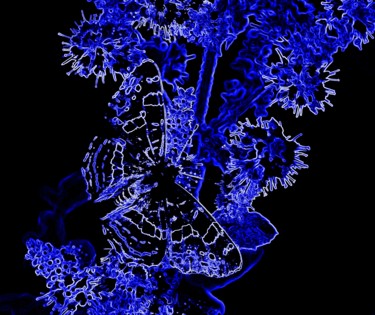 Arts numériques intitulée "Blues" par Marian Cobos, Œuvre d'art originale