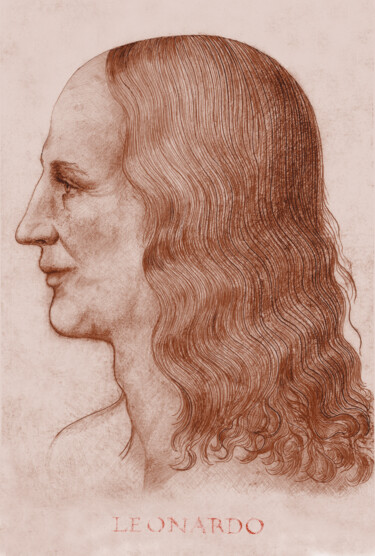 2-leonardo-face-reconstruction-inscription.jpg