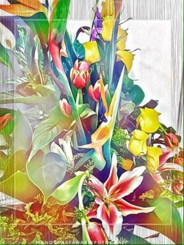 Photography titled "Colourful Flowers" by Manos Kastanakis, Original Artwork