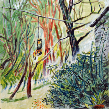 Bird Feeder and Ash Tree