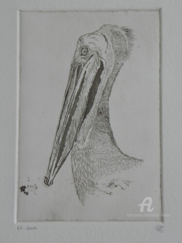 Gravures & estampes intitulée "Pélican02" par Hélène Mongin, Œuvre d'art originale, Eau-forte