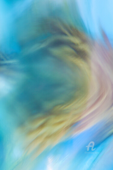 Photographie intitulée "Colibri" par Alepph.K, Œuvre d'art originale