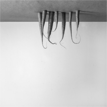 Fotografie mit dem Titel "Photographie Jean T…" von Jean Turco, Original-Kunstwerk