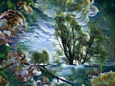 Paysage dans mes rêves