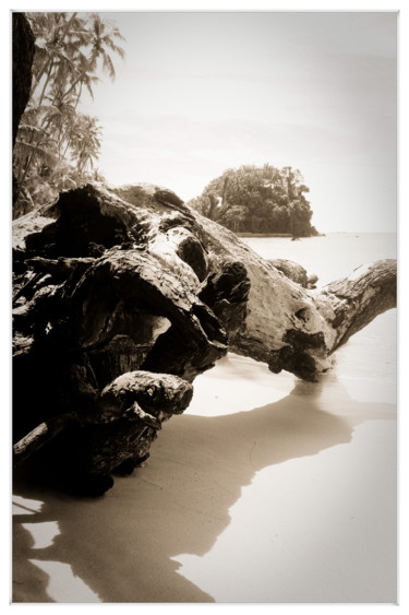 Photography titled "Echouage" by Chupalia, Original Artwork