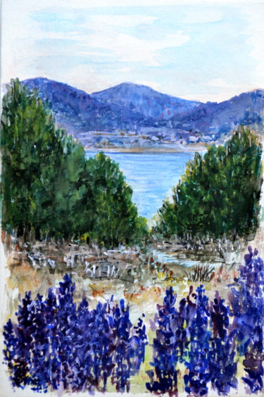 Le lac de MATEMALE