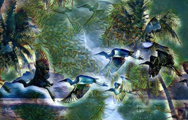 Vol d'oiseaux