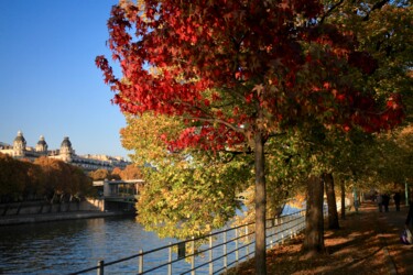 Photography titled "automne, ile aux Cy…" by Pierre-Yves Rospabé, Original Artwork, Digital Photography