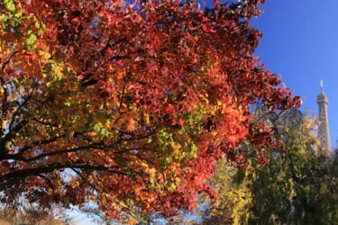 jardin du Trocadéro, couleurs d’Automne Photographie intitulée "jardin du Trocadéro…" par Pierre-Yves Rospabé, Œuvre d'art originale, Photographie numérique