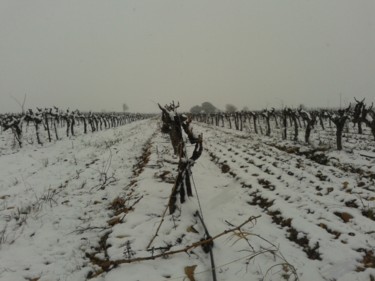 Photography titled "le cote du Rhone se…" by Nadine Danis, Original Artwork