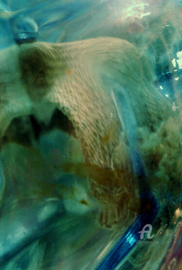 Photographie intitulée "PHENIX" par Alepph.K, Œuvre d'art originale
