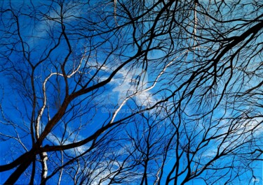 Peinture intitulée "Dentelles 4" par Gaïdg, Œuvre d'art originale, Acrylique Monté sur Châssis en bois