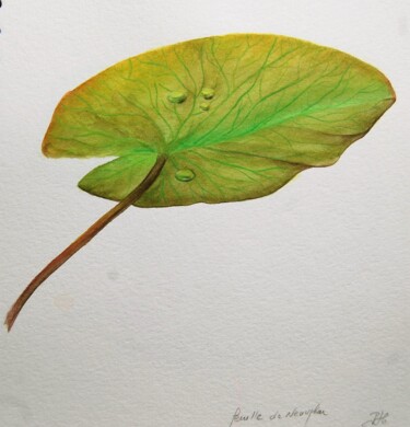 feuille de nénuphar - aquarelle signée Peinture intitulée "feuille de nénuphar…" par Patricia Giroldini Hyvernat, Œuvre d'art originale, Aquarelle