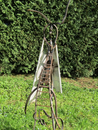 Sculpture intitulée "img-2925.jpgcoleopt…" par Christian Canivenc, Œuvre d'art originale, Autre