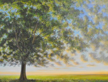 Arbre du soir, coucher de soleil...
