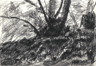 Dessin intitulée "Un Arbre (croquis)" par David Benayoun, Œuvre d'art originale, Crayon