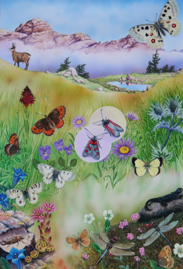 Peinture intitulée "Didactique 1: Alpag…" par Bernard Domange, Œuvre d'art originale, Acrylique