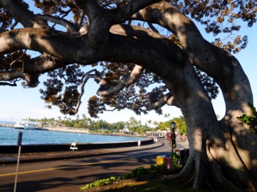 Photographie intitulée "Hawaii" par Arnaud Thévenin, Œuvre d'art originale
