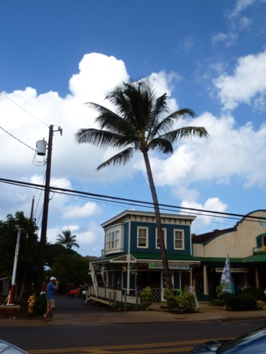 Photographie intitulée "Hawaii" par Arnaud Thévenin, Œuvre d'art originale
