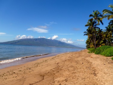 Photographie intitulée "Hawaii.        Plage" par Arnaud Thévenin, Œuvre d'art originale