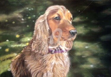图画 标题为“portrait Chien cock…” 由Sylvie Blandin, 原创艺术品, 粉笔