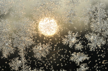 Photographie intitulée "papillons 1" par Philip Moreau, Œuvre d'art originale