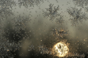 Photographie intitulée "papillons 2" par Philip Moreau, Œuvre d'art originale