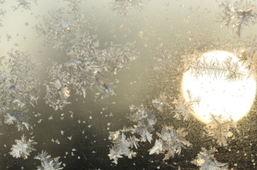 Photographie intitulée "papillons 3" par Philip Moreau, Œuvre d'art originale