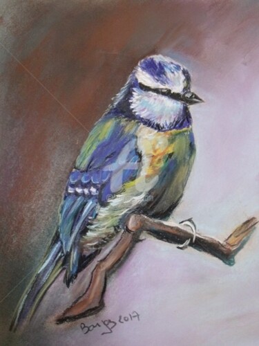 Peinture intitulée "Mésange bleue 2" par Valérie Barrett, Œuvre d'art originale, Pastel