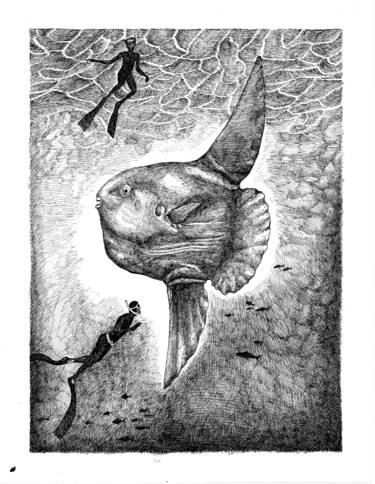 Drawing titled "la vie des profonde…" by Mélissa Tresse, Original Artwork, Ink