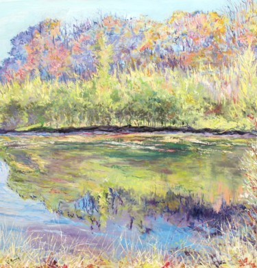 Les reflets du Moulin (parc du Moulin à Crosne)