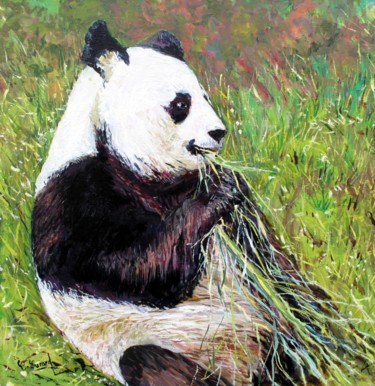 Le Panda de Beauval le male panda YAN ZI savourant du bambou
