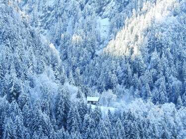 Dans la neige Photographie intitulée "Dans la neige" par Jean-Michel Liewig, Œuvre d'art originale