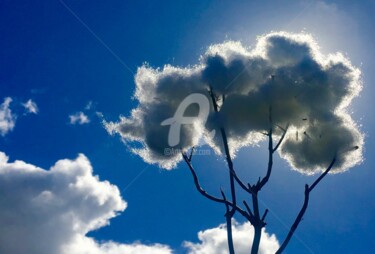 Photographie intitulée "L'Arbre à Nuage n°3" par Abacchetta, Œuvre d'art originale