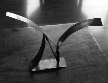 Photographie intitulée "HÉPHÉMÈRE 27" par Arnaud Thévenin, Œuvre d'art originale