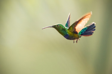 Photographie intitulée "Et un ange vol..." par Emmanuel Raussin, Œuvre d'art originale, Photographie numérique