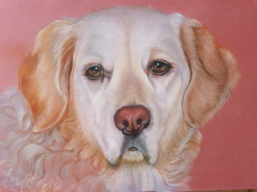 Dessin intitulée "Regard d'amour inco…" par Claudine Marquet, Œuvre d'art originale, Pastel