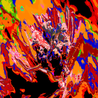 Insectopie Photography titled "Insectopie" by Elise Vincent, Original Artwork, Digital Photography Mounted on Aluminium