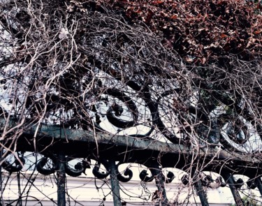 제목이 "la-vegetation-retro…"인 사진 Dominique Alquier로, 원작