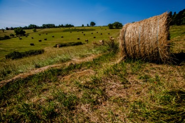 Photographie intitulée "Paysage Terrebasse" par Nicolas Bernié, Œuvre d'art originale
