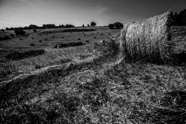 Photographie intitulée "Paysage Terrebasse…" par Nicolas Bernié, Œuvre d'art originale